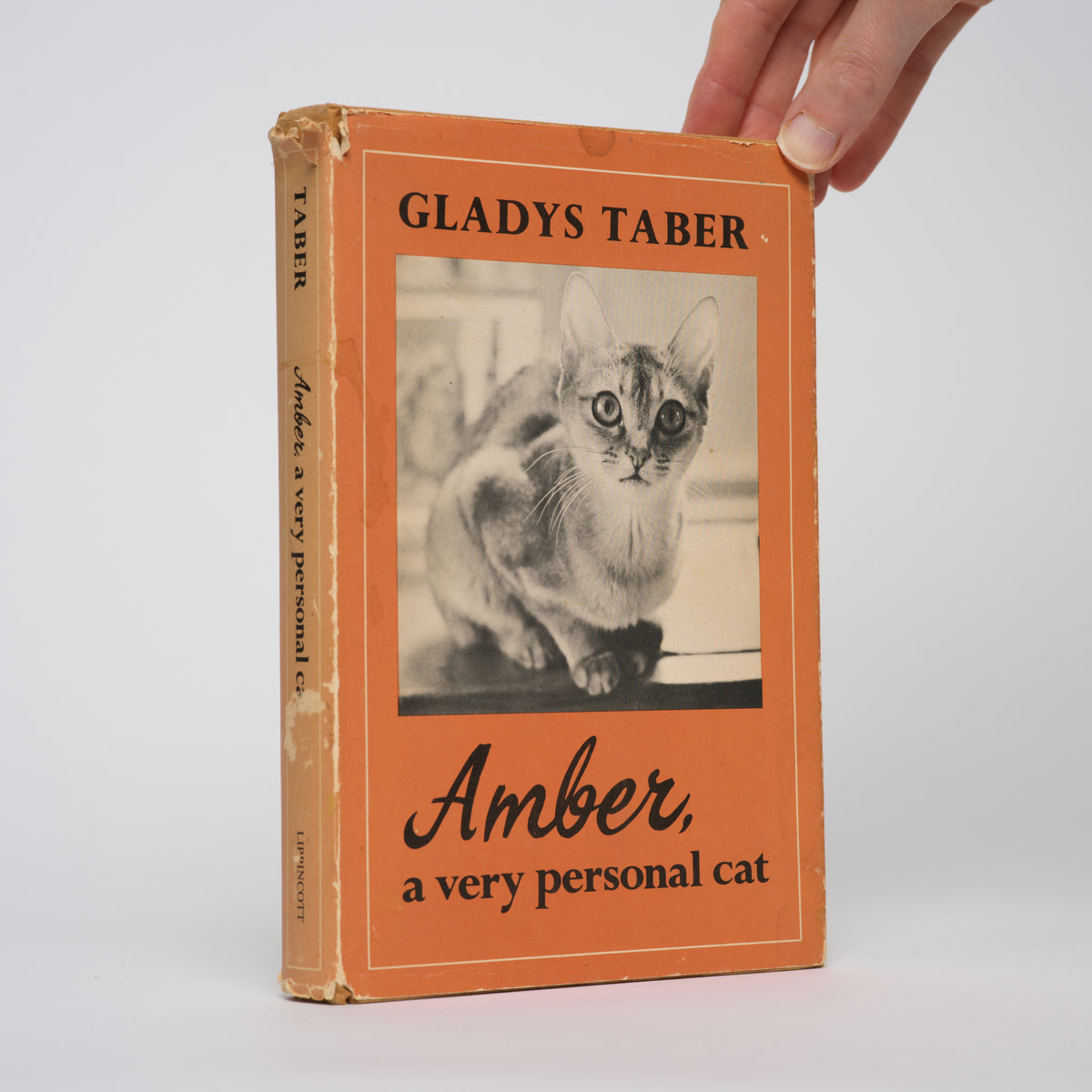 Amber: A Very Personal Cat - Taber, Gladys