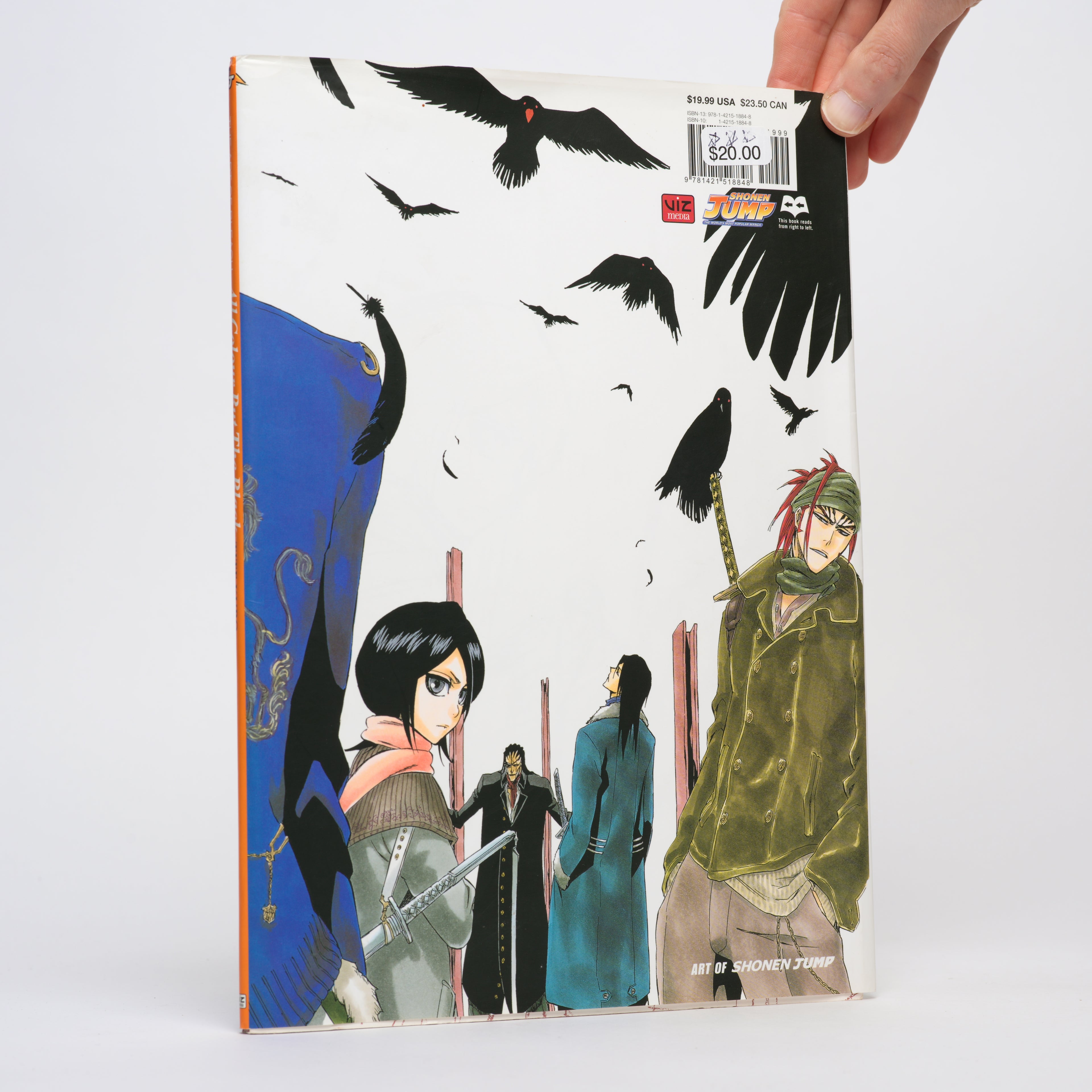 All Colour But the Black: The Art of Bleach - Kubo, Tite