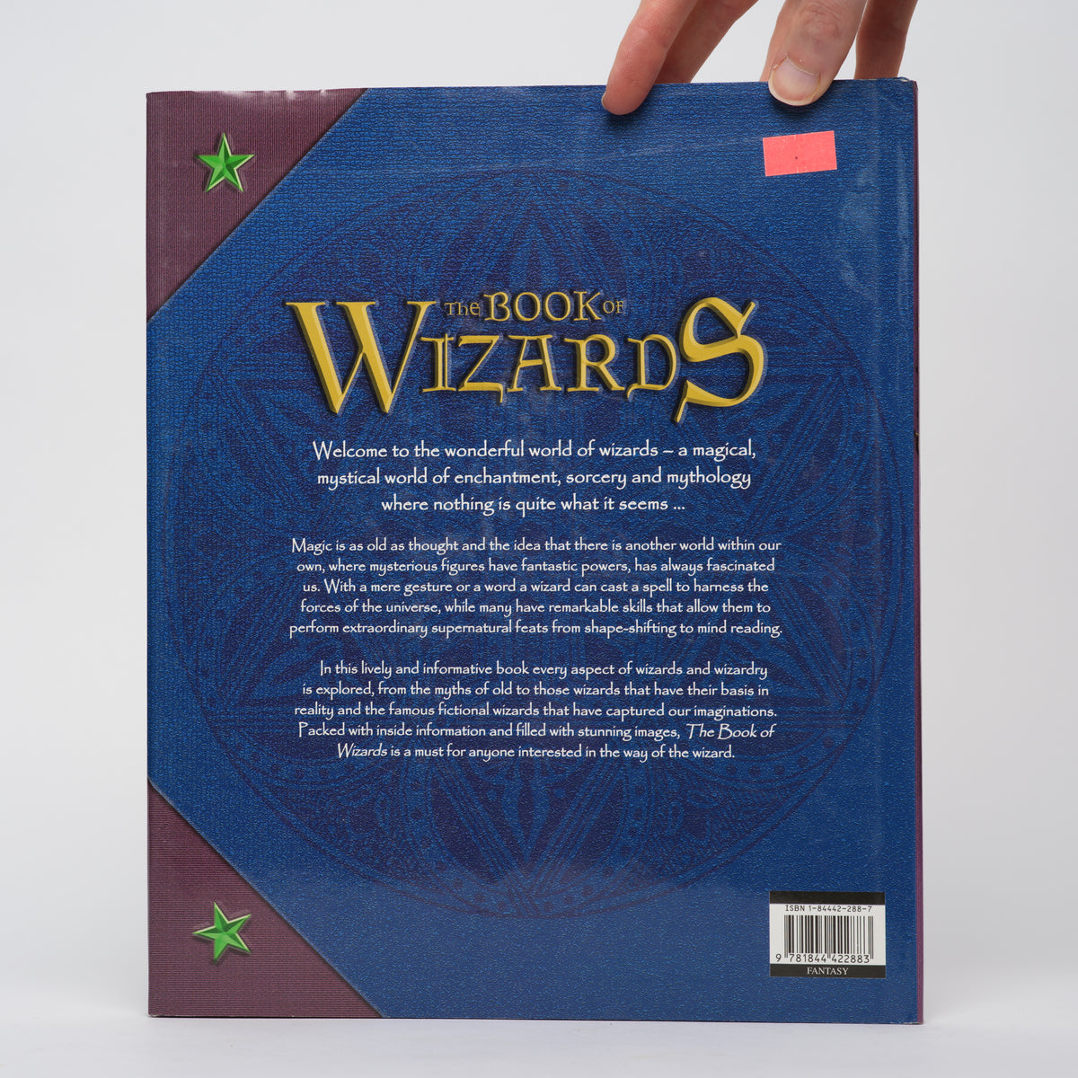 The Book of Wizards : A Magical History Tour - Dedopulos, Tim