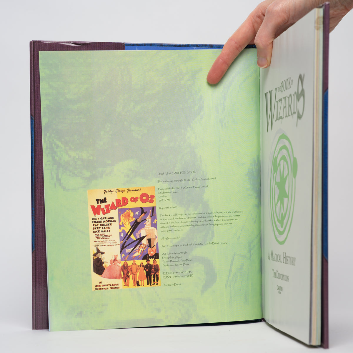 The Book of Wizards : A Magical History Tour - Dedopulos, Tim