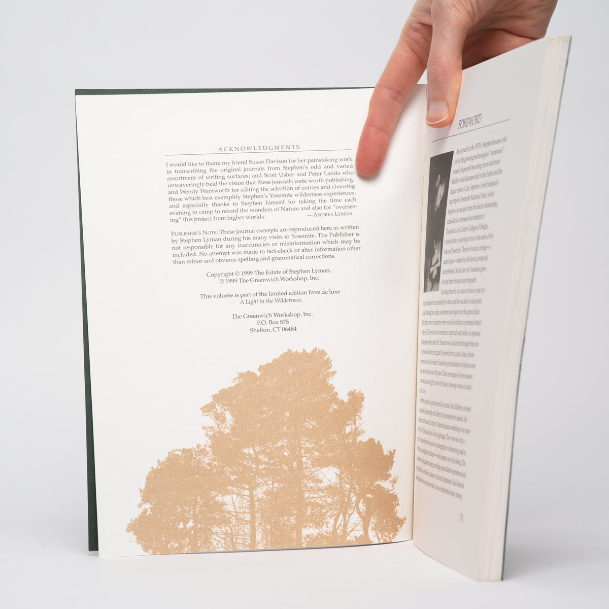 A Light in the Wilderness: Yosemite Journal - Lyman, Stephen; Lyman, Andrew (introduction)