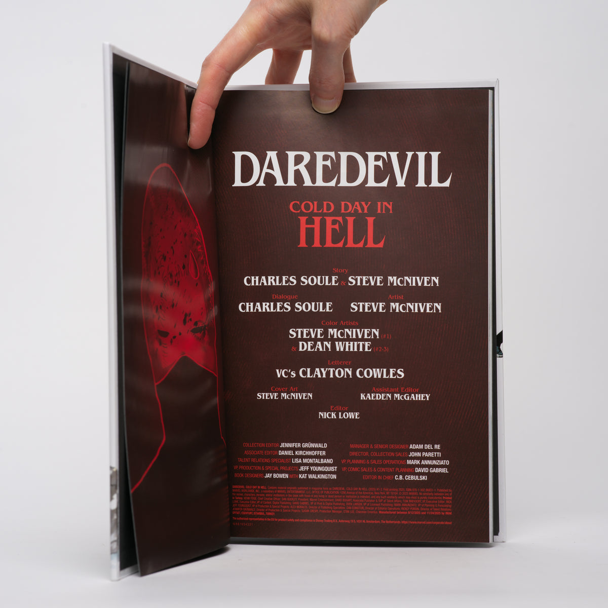 Daredevil: Cold Day in Hell