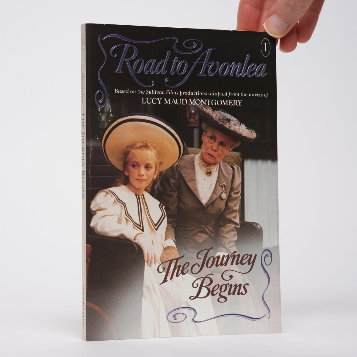 The Road to Avonlea Collection: Books #1-5 (The Journey Begins; The Story Girl Earns Her Name; Song of the Night; The Materializing of Duncan McTavish; Quarantine at Alexander Abraham's)