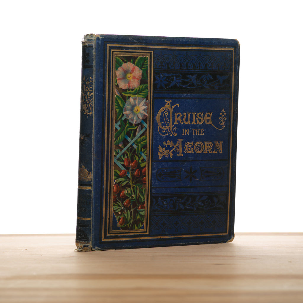 A Cruise in the Acorn - Jerrold, Alice; Greenaway, Kate (illustrator)