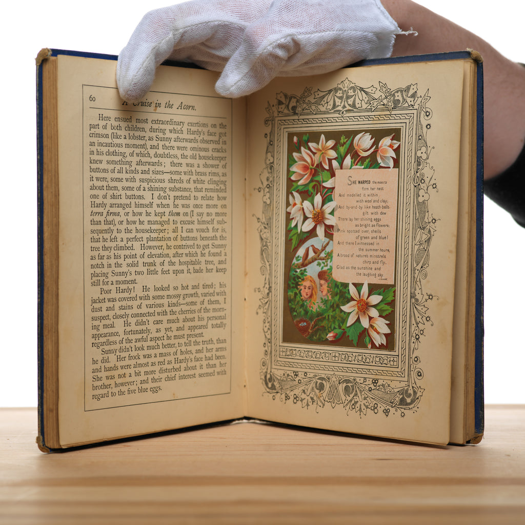 A Cruise in the Acorn - Jerrold, Alice; Greenaway, Kate (illustrator)