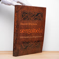 Stifter, David - Sengoidelc: Old Irish for Beginners