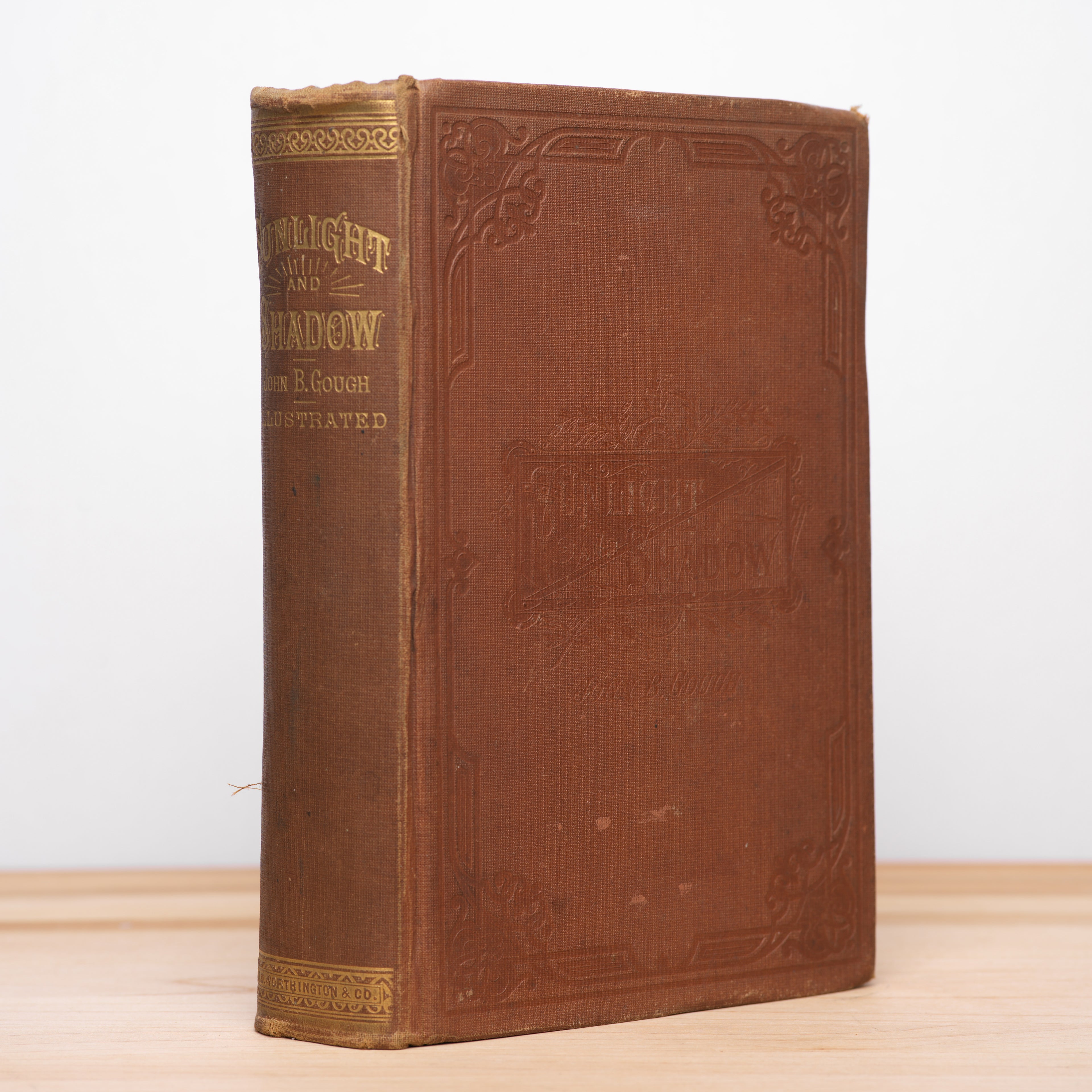 Sunlight and Shadow or, Gleanings from My Life's Work - Gough, John B.