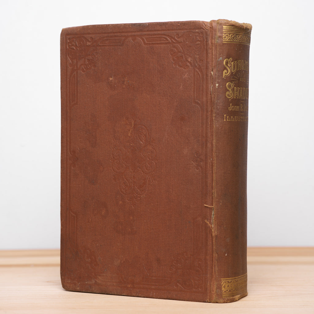 Sunlight and Shadow or, Gleanings from My Life's Work - Gough, John B.
