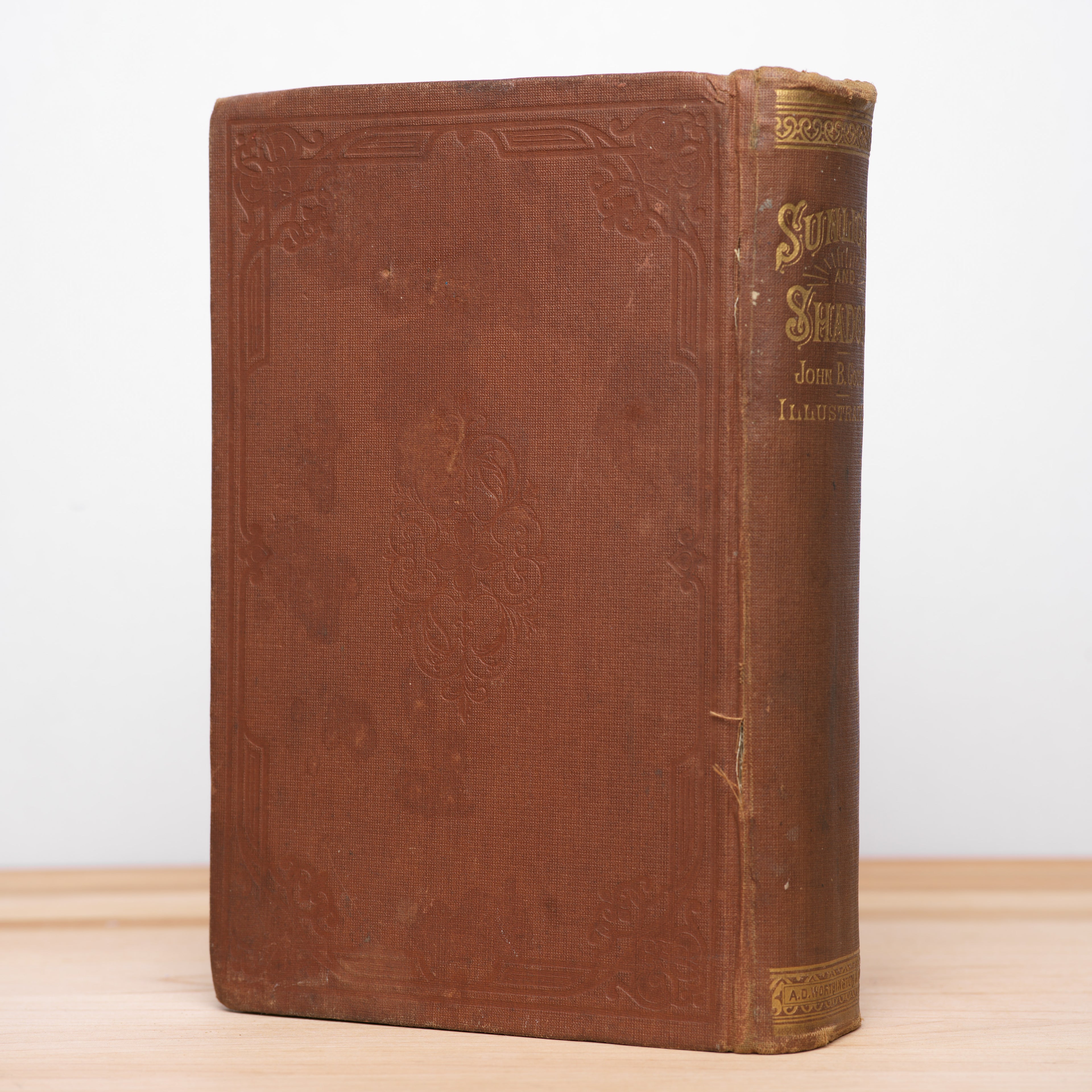 Sunlight and Shadow or, Gleanings from My Life's Work - Gough, John B.