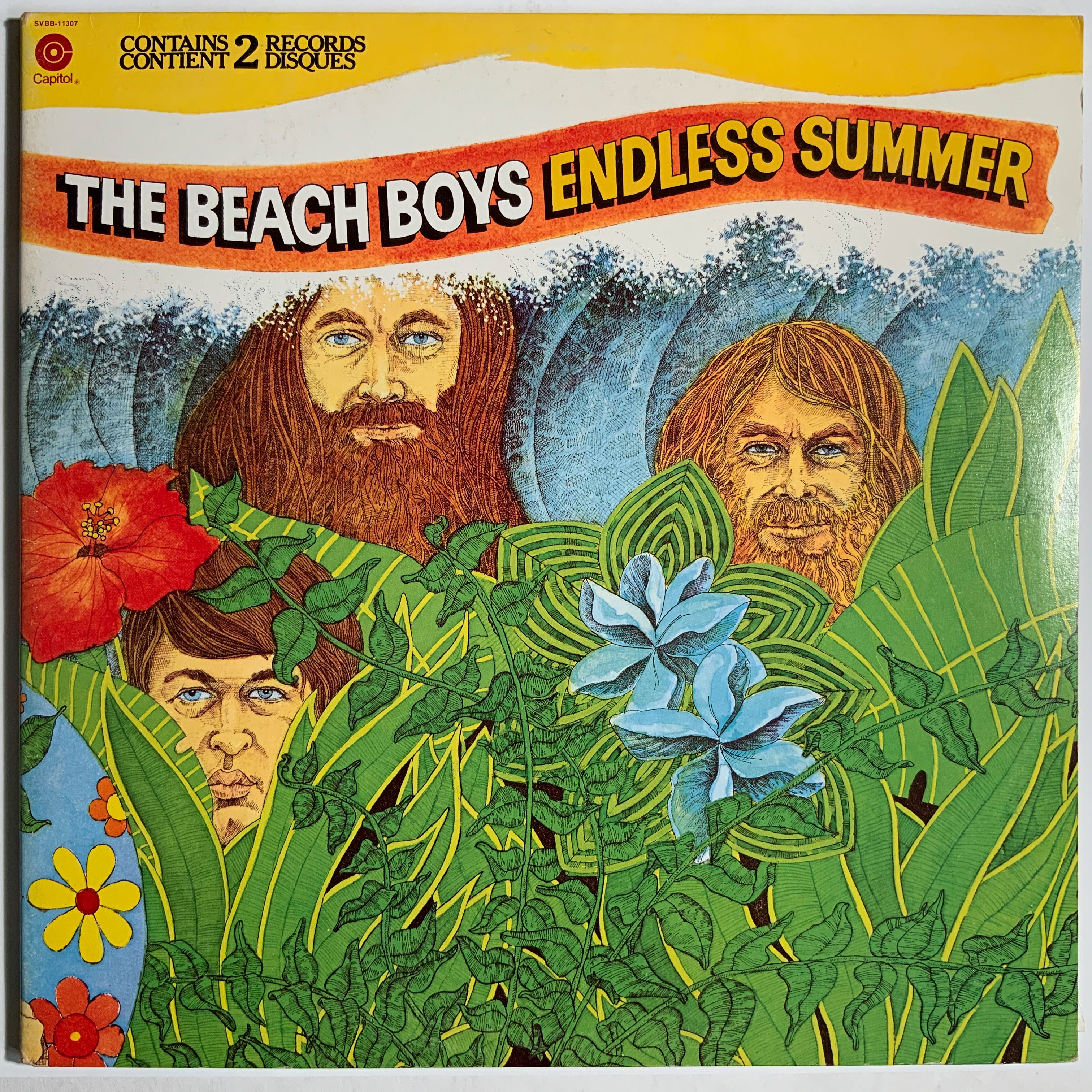 Beach Boys: Endless Summer