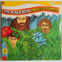 Beach Boys: Endless Summer