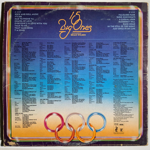 Beach Boys: 15 Big Ones
