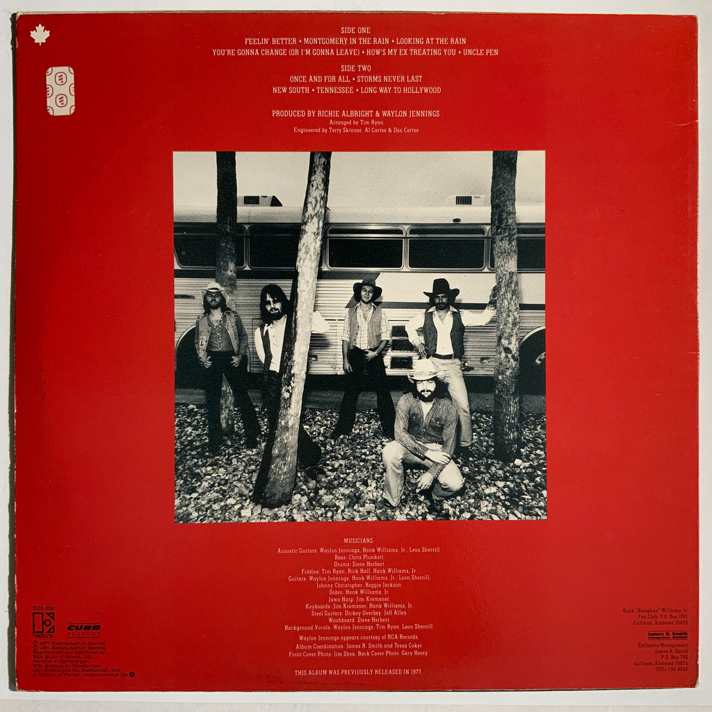 Hank Williams, Jr. : The New South