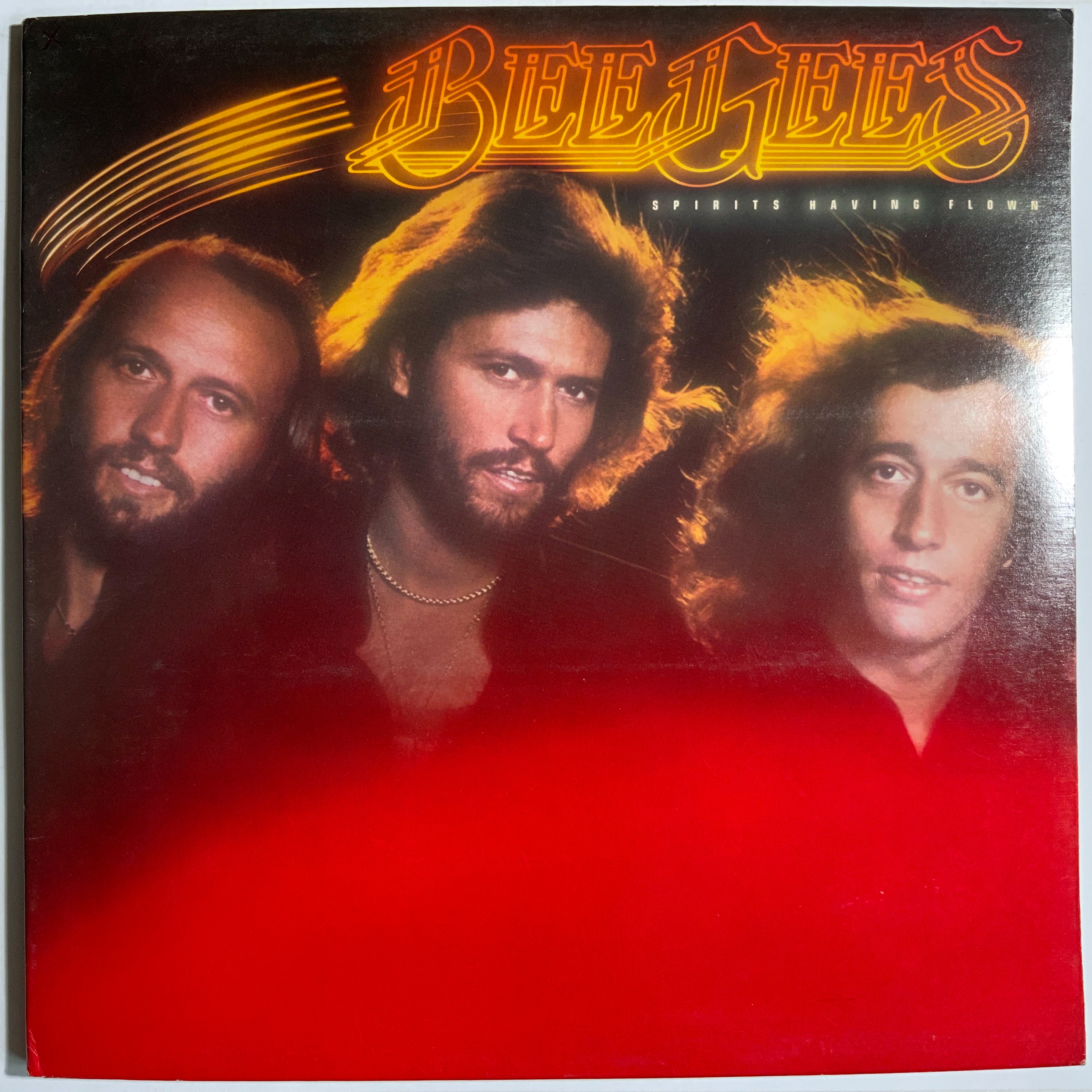 Bee Gees: Spirits Having Flown