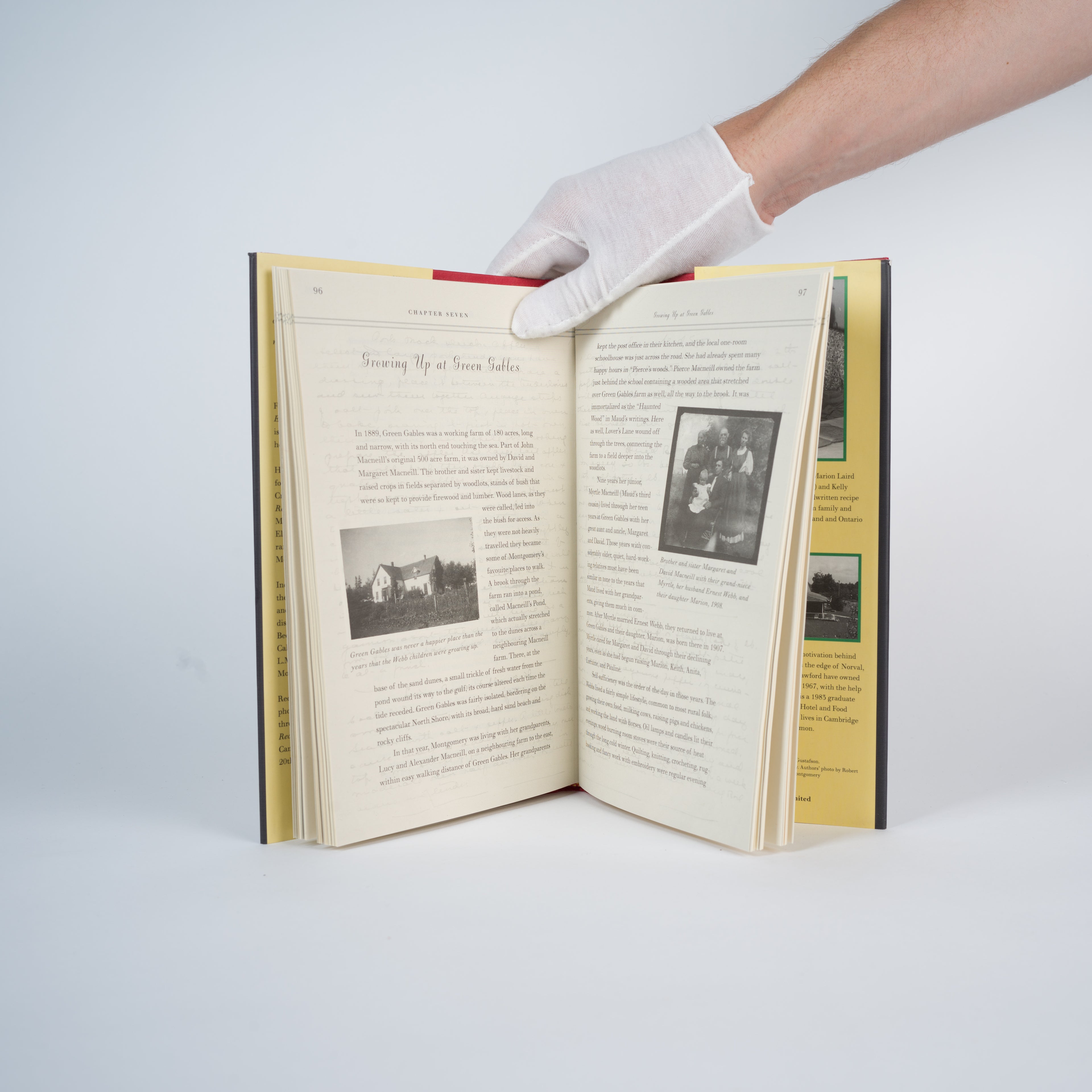 Montgomery, L. M.; Crawford, Elaine; Crawford, Kelly - Aunt Maud's Recipe Book: From the Kitchen of L.M. Montgomery