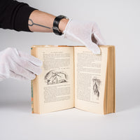 In a Glass Darkly  Le Fanu, J. Sheridan; Ardizzone, Edward (illustrations)