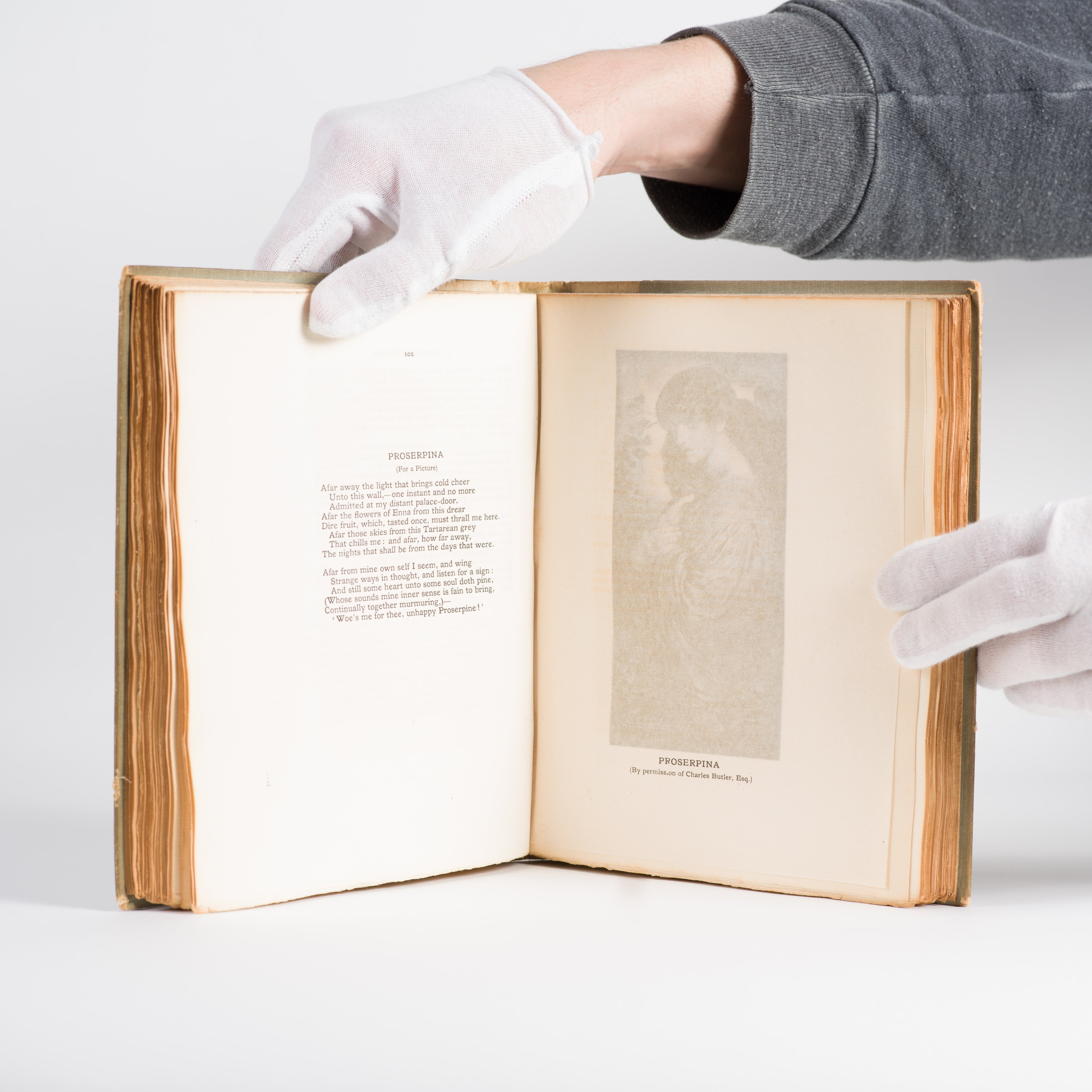 The Poems of Dante Gabriel Rossetti With Illustrations From His Own Pictures and Designs (Two Volumes) - Rossetti, D.G.