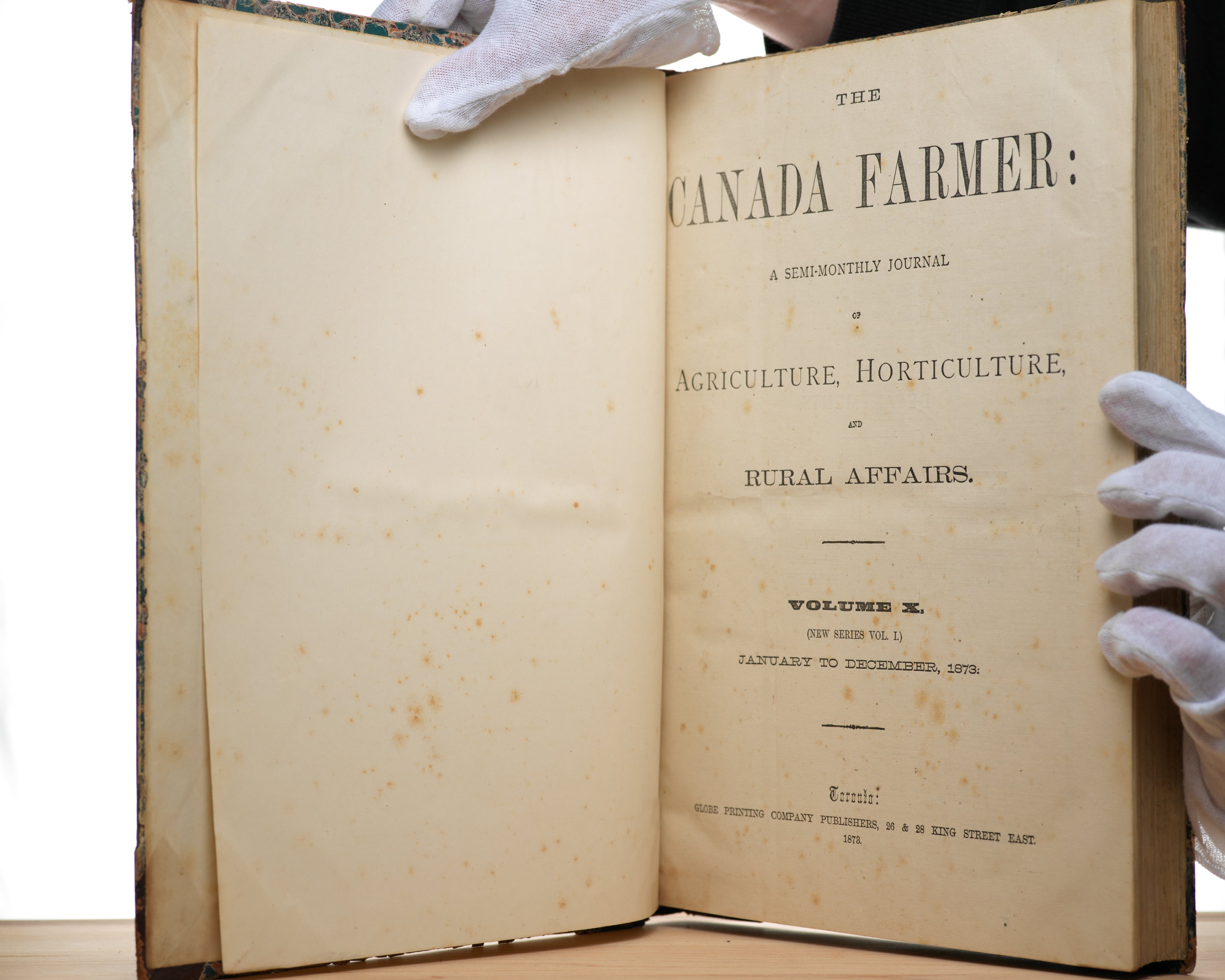 The Canada Farmer: A semi-monthly journal of agriculture, horticulture, and rural affairs (Volume X, New Series Vol. i, January to December 1873)