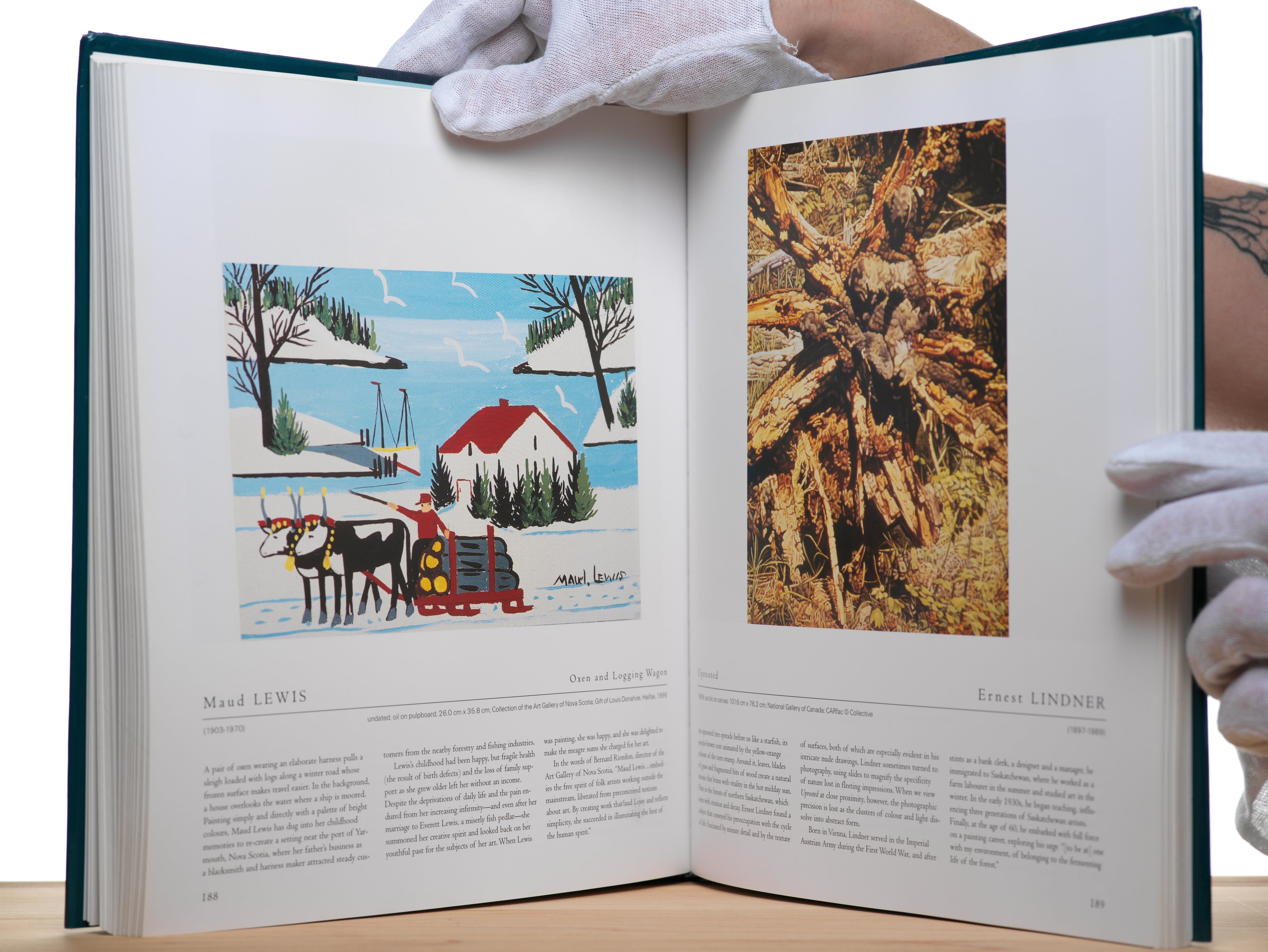 Canadian Art: From Its Beginnings to 2000 - Newlands, Anne