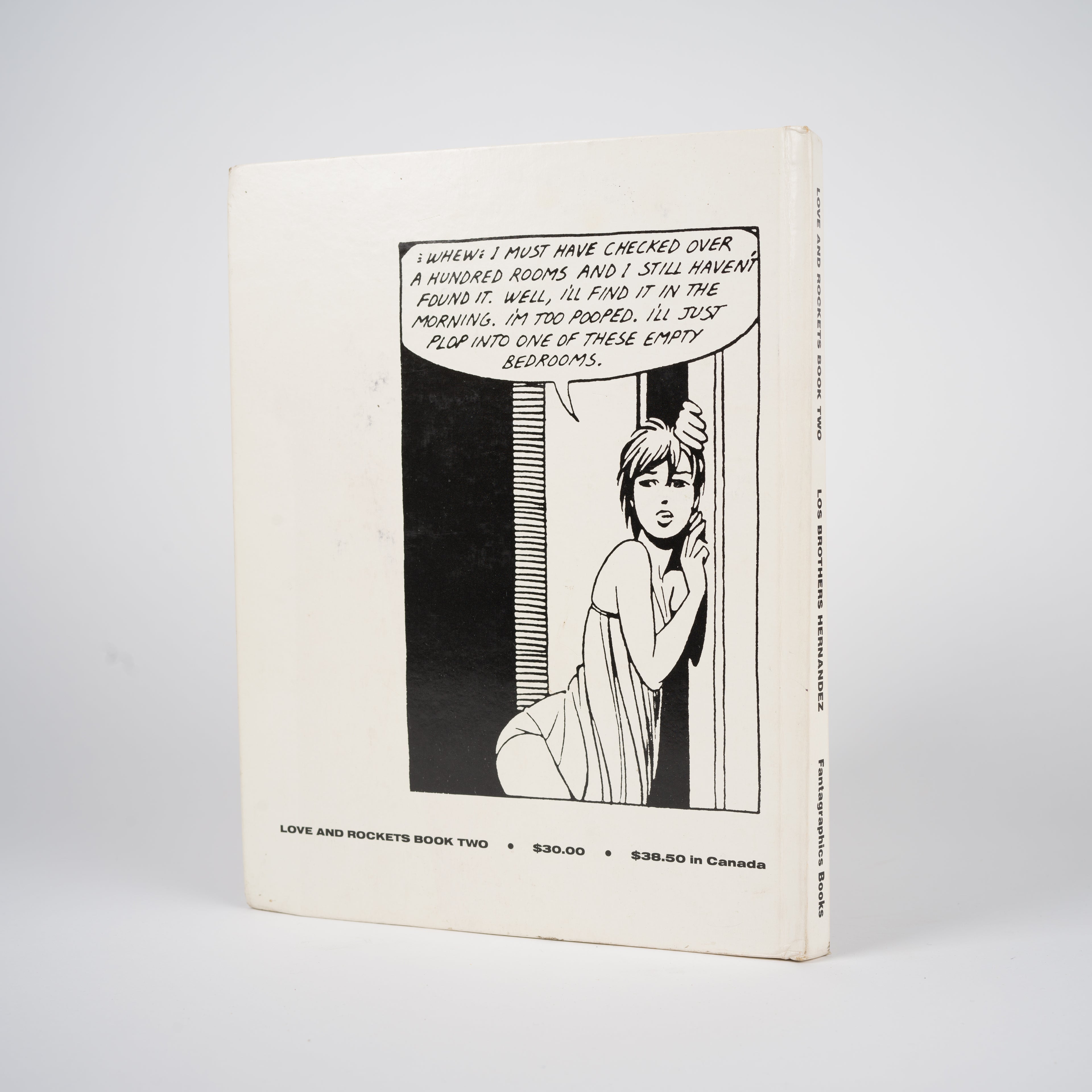 Love & Rockets: Book Two - Los Brothers Hernandez