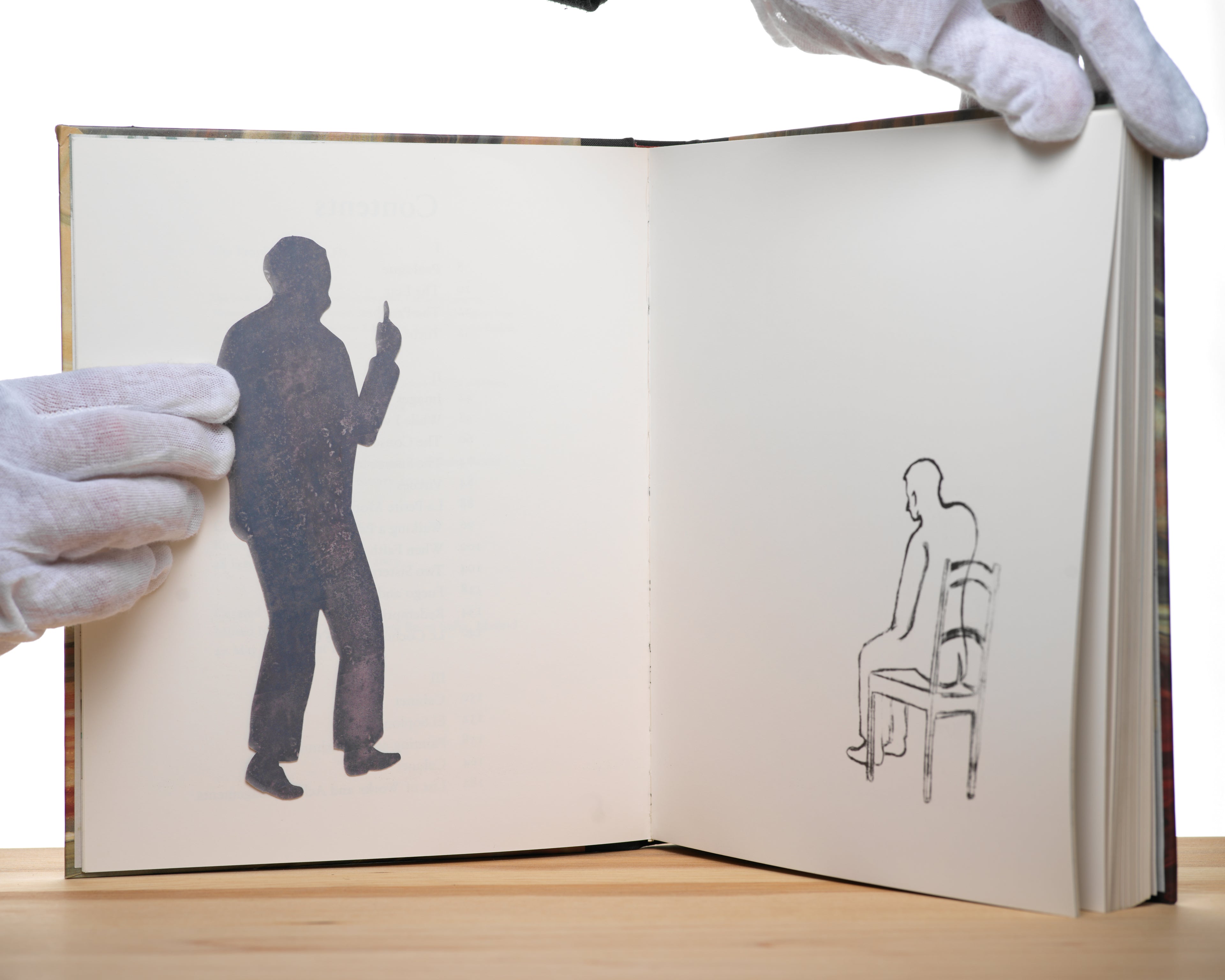 Francis Alÿs: The Prophet and the Fly (Arte y Fotografía) - Alÿs, Francis; Lampert, Catherine