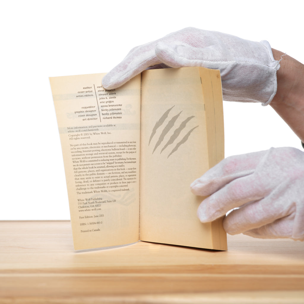 Silent Striders & Black Furies (Werewolf: The Apocalypse: Tribe Novel, Book 2) - Bowen, Carl