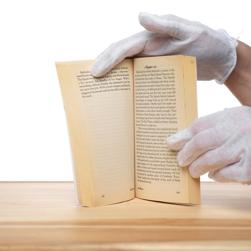 Silent Striders & Black Furies (Werewolf: The Apocalypse: Tribe Novel, Book 2) - Bowen, Carl